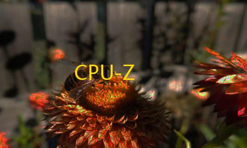 黑神话悟空下载多邻国学英语